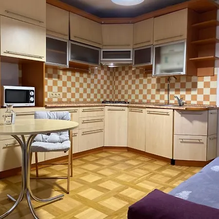 Appartement Gavrishkevicha Lviv